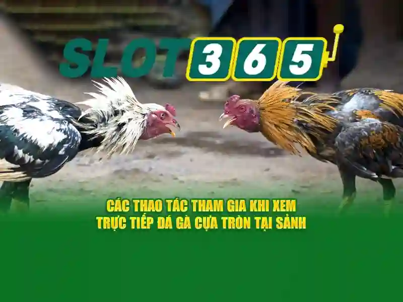 Slot365: Trải nghiệm slot trực tuyến an toàn
