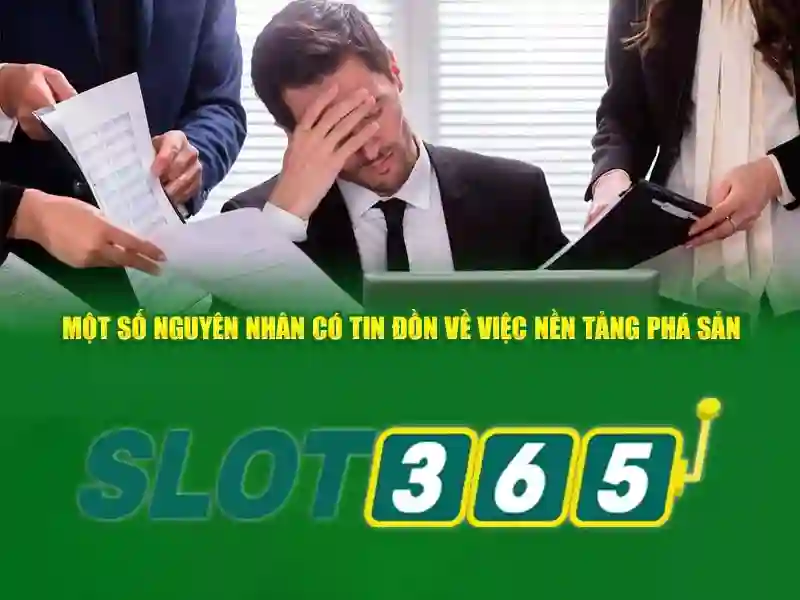 Sản phẩm và dịch vụ chính: ứng dụng Slot365