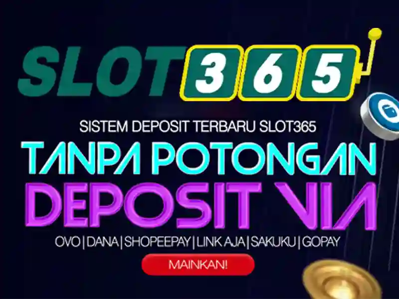 Trải nghiệm người dùng và hỗ trợ