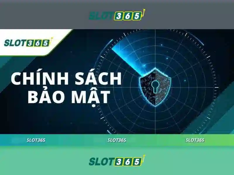 Phát triển và triển vọng tương lai của slot365 slot