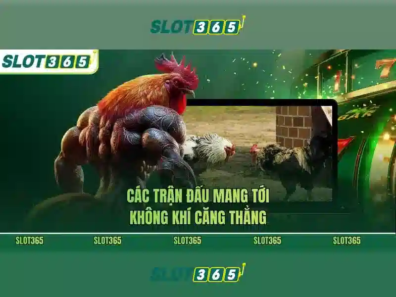 Ưu thế và cạnh tranh slot365