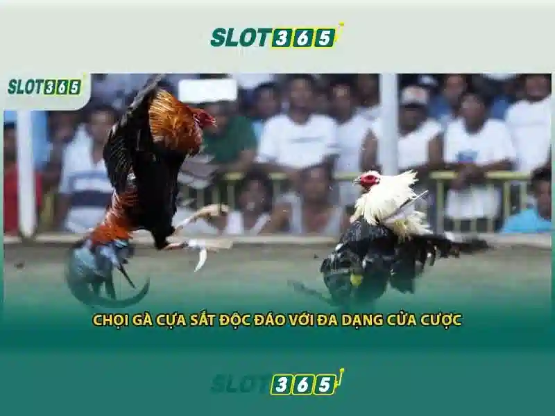 Slot365: Khám phá nền tảng chơi slot trực tuyến hàng đầu