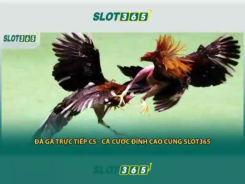 Các trò chơi slot trên Slot365