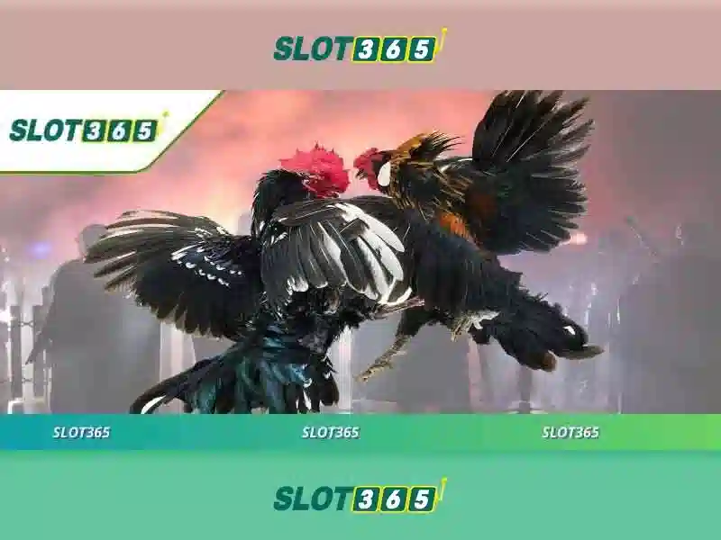 Slot365: Đánh giá chi tiết và trải nghiệm