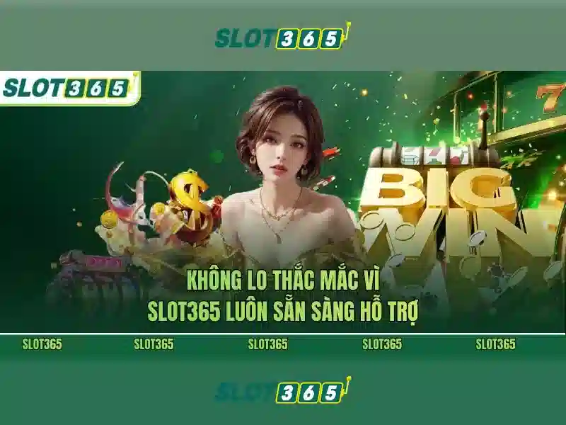 Hỗ trợ thanh toán và khuyến mãi