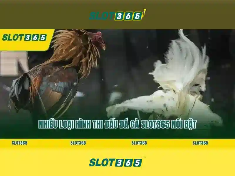 Slot365 là gì