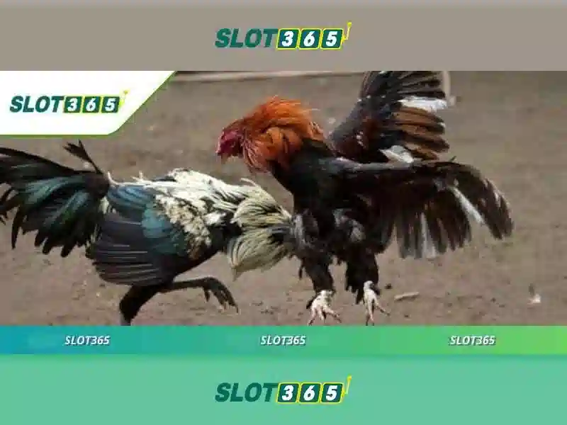 Tiện ích và thanh toán trên Slot365