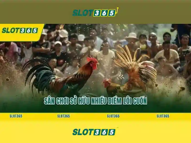 Giao diện nhà cái hoàn hảo