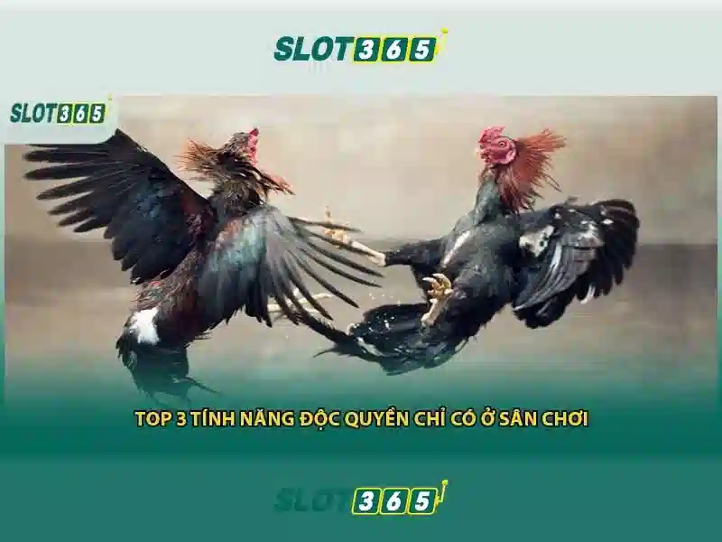 Giao diện nhà cái hoàn hảo