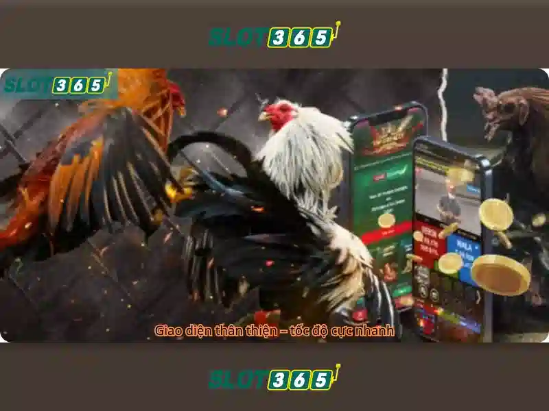 Slot365: Đánh giá toàn diện về nền tảng slot trực tuyến
