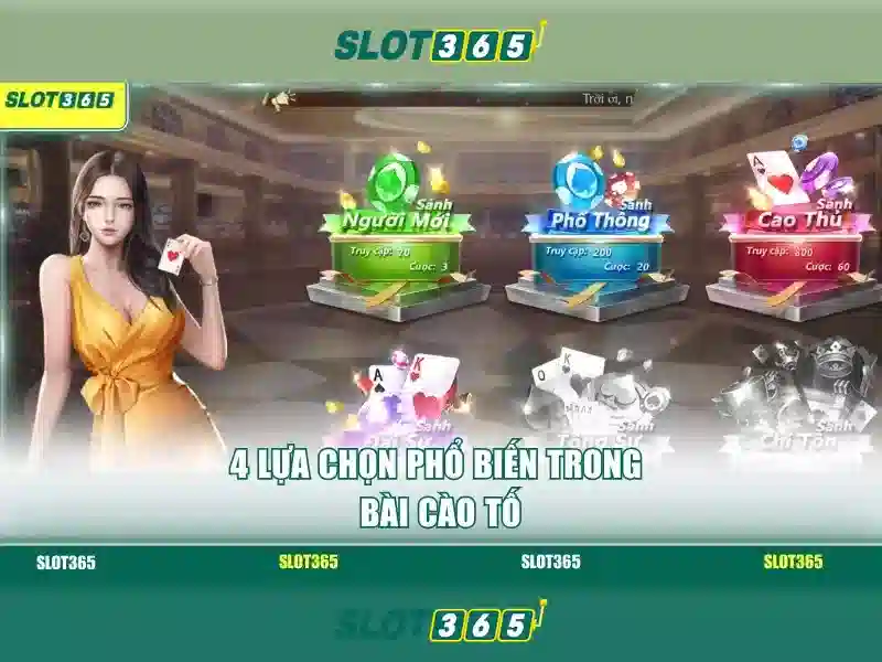 Slot365: Đánh giá nền tảng cược trực tuyến