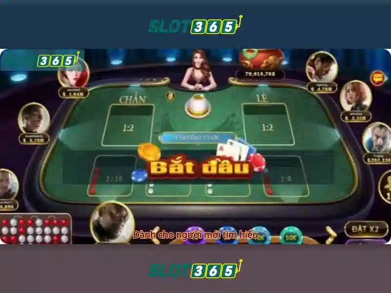 Slot365: Khám phá nền tảng cá cược trực tuyến an toàn và hấp dẫn