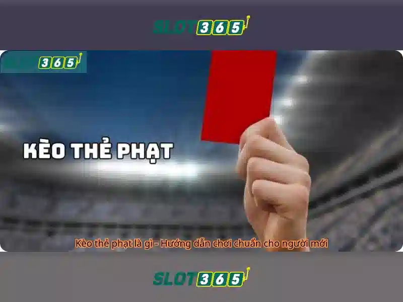 Giao diện người dùng và trải nghiệm