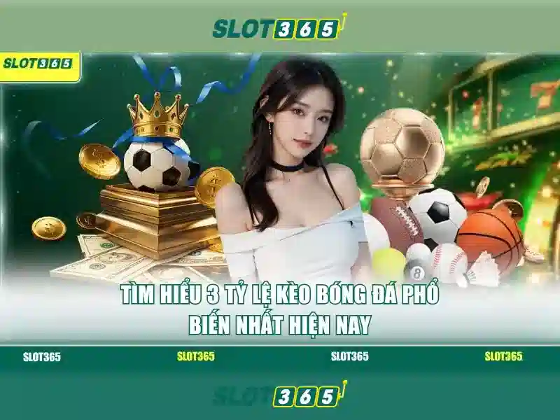 Trải nghiệm người dùng mượt mà trên mọi thiết bị