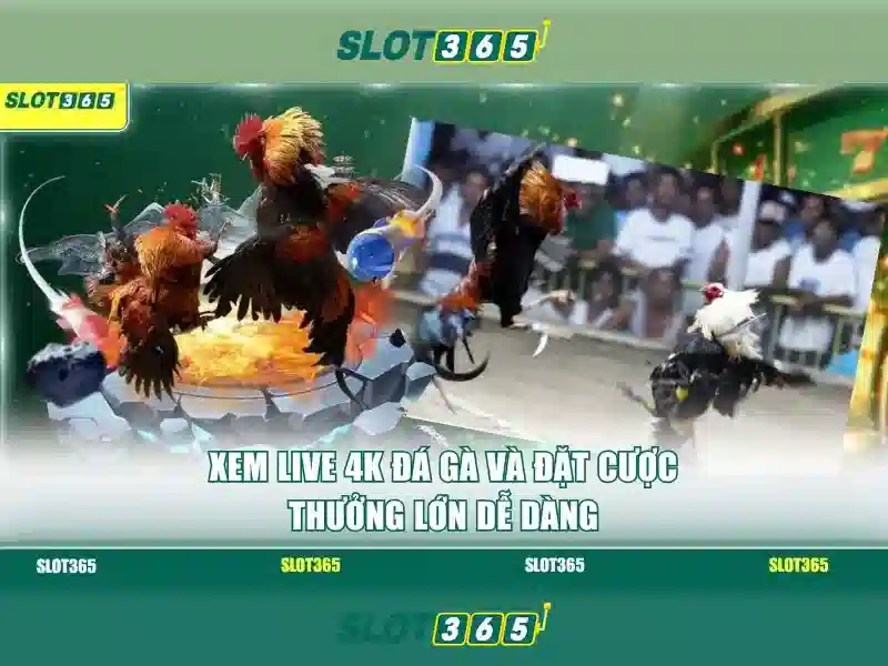 Slot365 là gì và tại sao bạn nên thử trải nghiệm