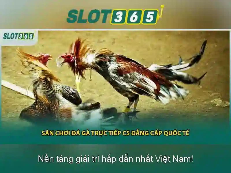 Cách đăng ký và đăng nhập\n<h>Cách chơi Slot365 an toàn</h>\n<p><span style=
