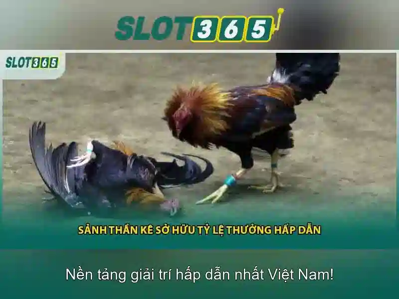 Slot365 – Khám phá thế giới slot trực tuyến