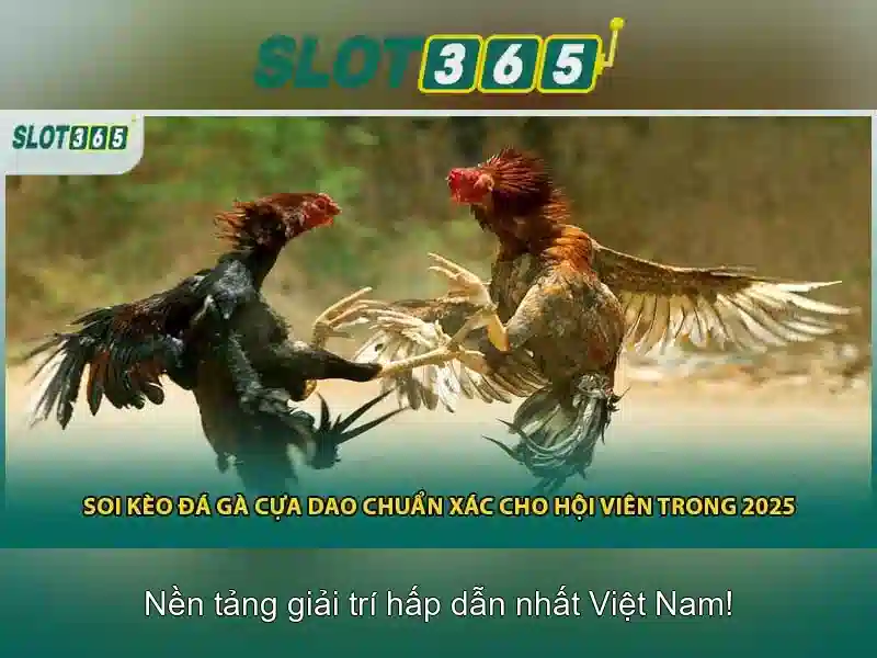 Giao diện nhà cái hoàn hảo