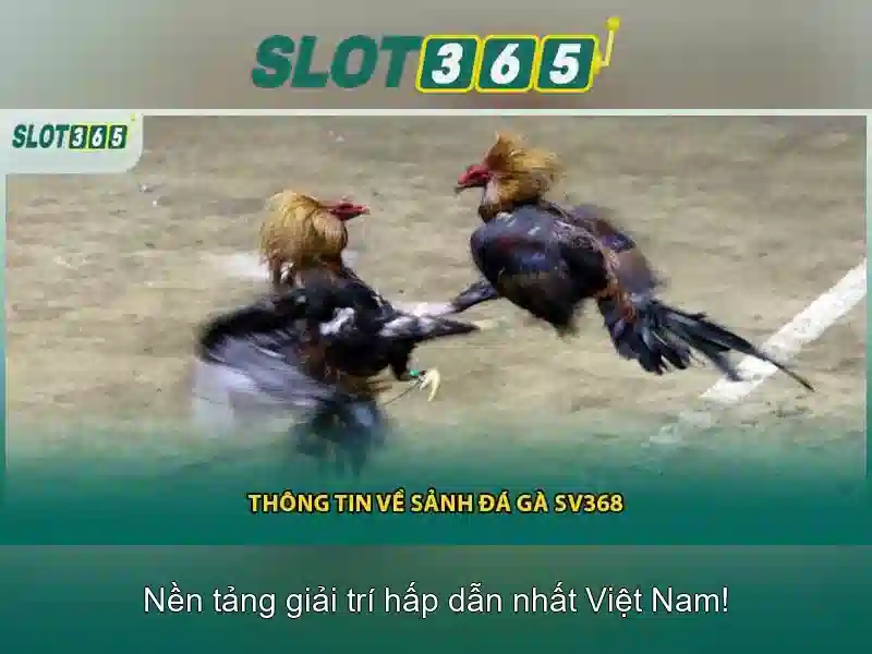Cung cấp các trò chơi đa dạng và thưởng hấp dẫn<p><span style=