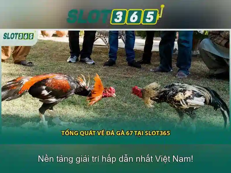 Slot365 - Tra nghiem casino truc tuyen dinh cao