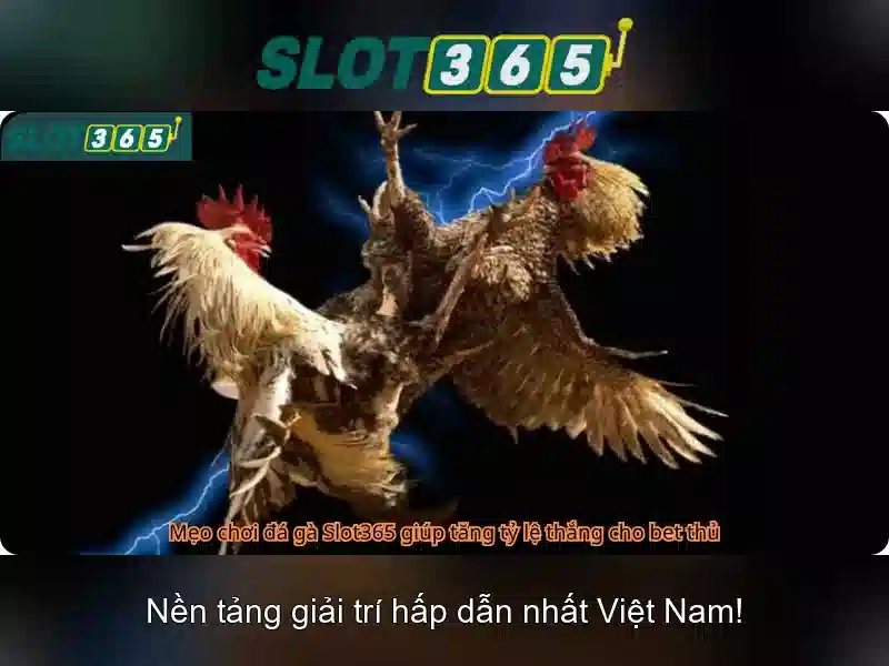 Slot365 – Trải nghiệm slot trực tuyến hàng đầu