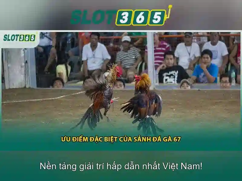 Trò chơi slot đa dạng