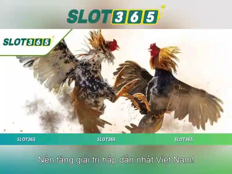 Khuyến mãi, ưu đãi và điều kiện chơi