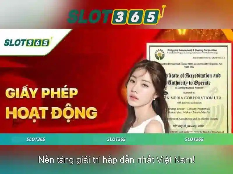 Khuyến mãi và hỗ trợ khách hàng