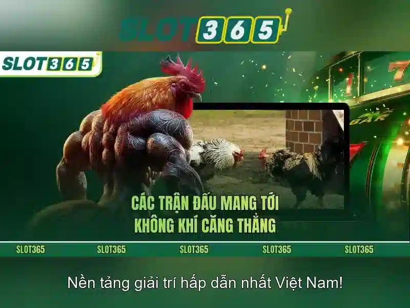 Khuyến mãi và thanh toán an toàn
