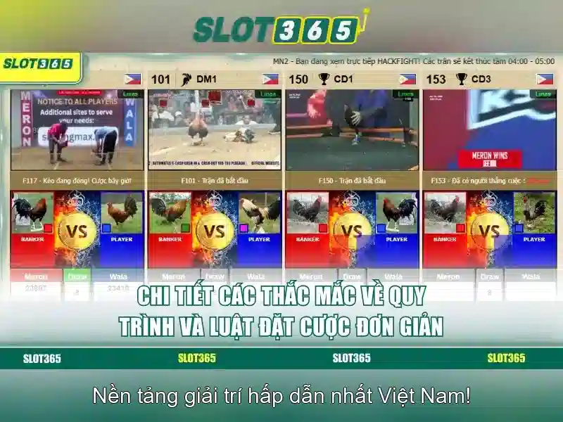 Khuyến mãi và chương trình thưởng