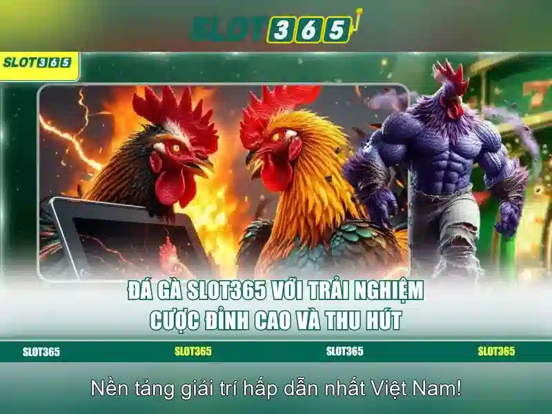 Trải nghiệm người dùng và trò chơi