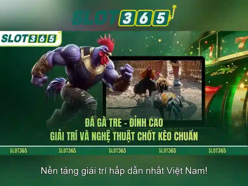 Các tính năng nổi bật