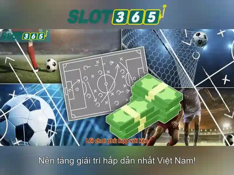 Hỗ trợ khách hàng và giao diện người dùng