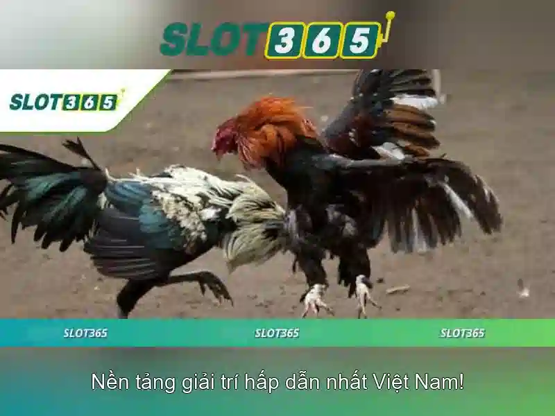 Giao diện nhà cái hoàn hảo