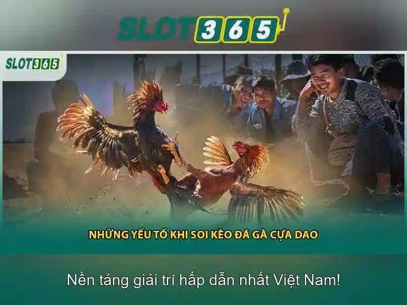 Slot365: Trải nghiệm chơi xèng trực tuyến hàng đầu tại Việt Nam Giao diện nhà cái hoàn hảo