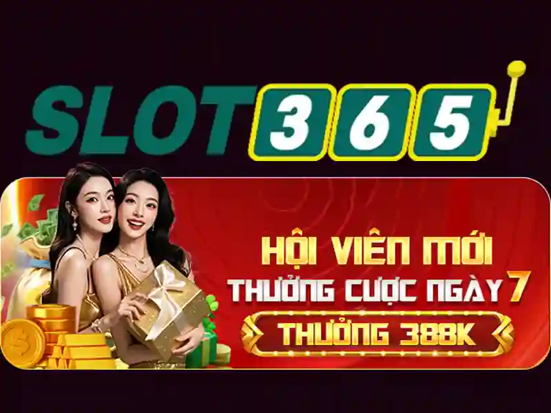 rtp slot365 – Tổng quan trải nghiệm và giá trị