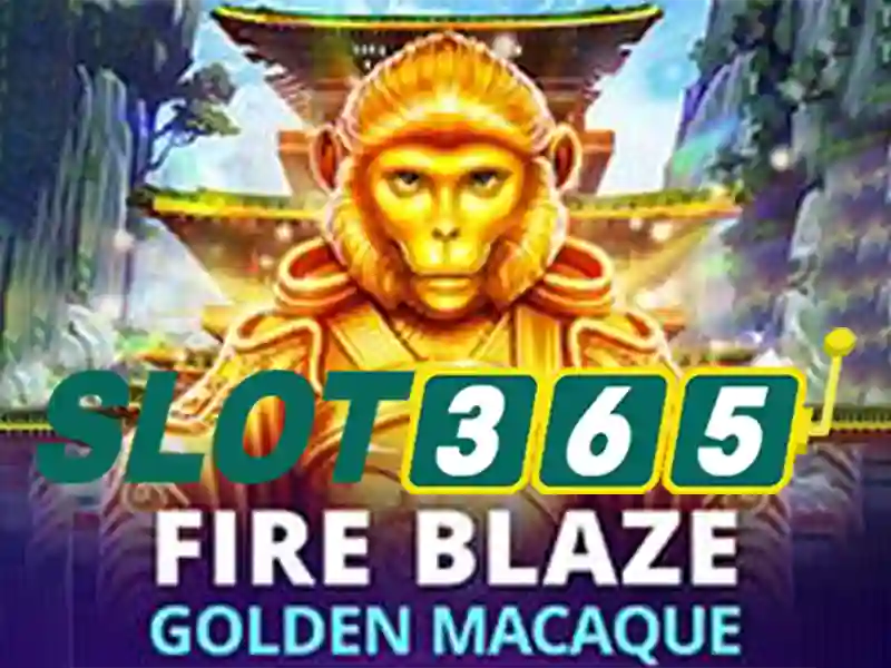 slot365 tái – Nền tảng đổi mới cho trải nghiệm người chơi